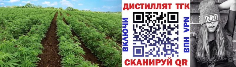 Дистиллят ТГК жижа Кунгур